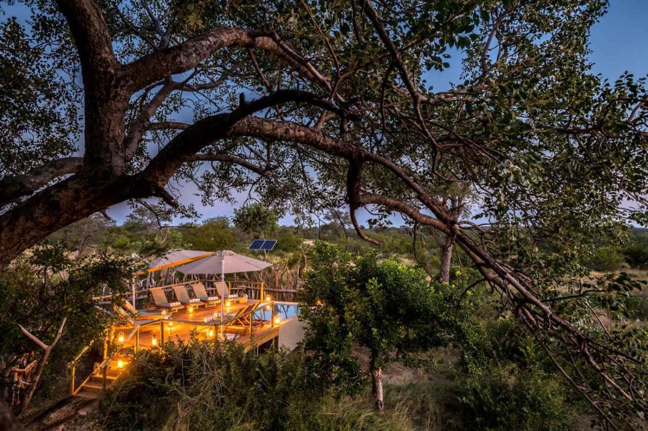 Africa On Foot Villa Klaserie Private Nature Reserve Exteriör bild