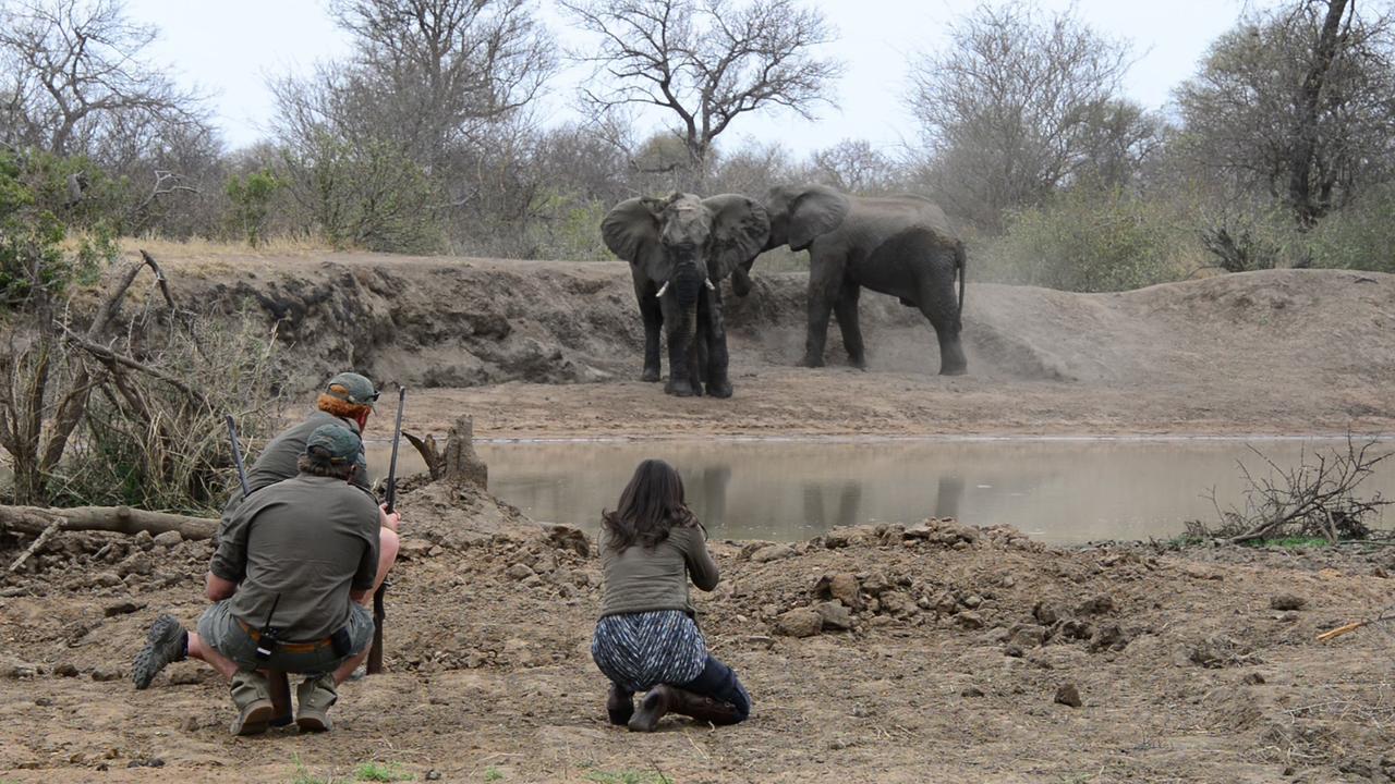 Africa On Foot Villa Klaserie Private Nature Reserve Exteriör bild