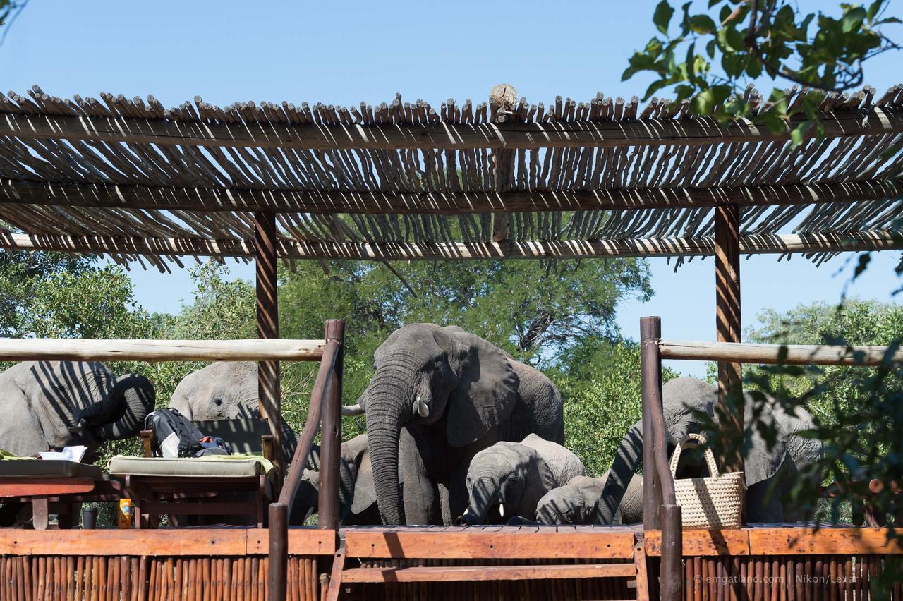 Africa On Foot Villa Klaserie Private Nature Reserve Exteriör bild